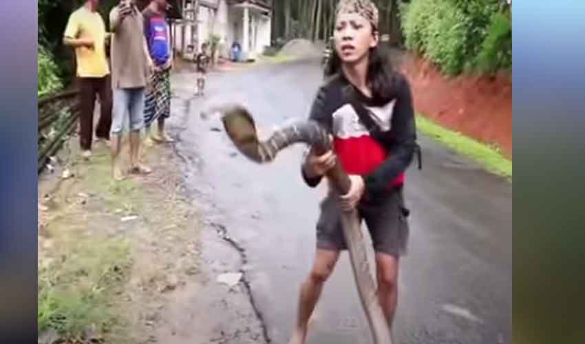 Woman Catches Giant Snake