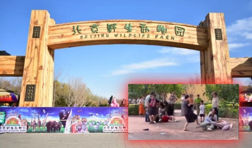 Zoo (1)