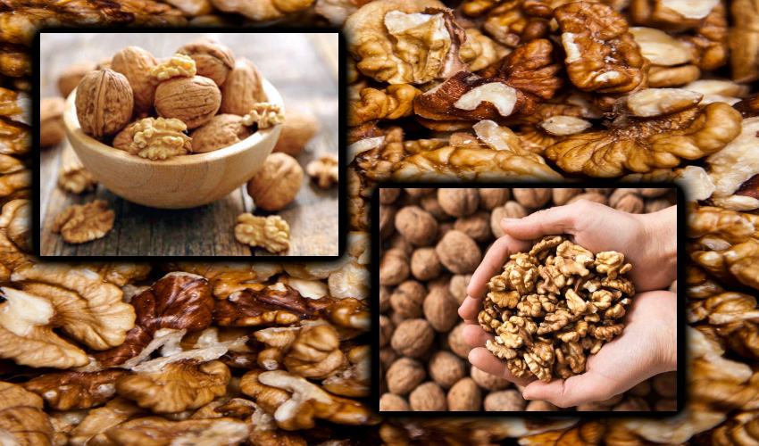 Walnuts : అక్రోట్లు తింటే అయుష్షు పెరుగుతుందా!.. Walnuts : అక్రోట్లు తింటే అయుష్షు పెరుగుతుందా!..