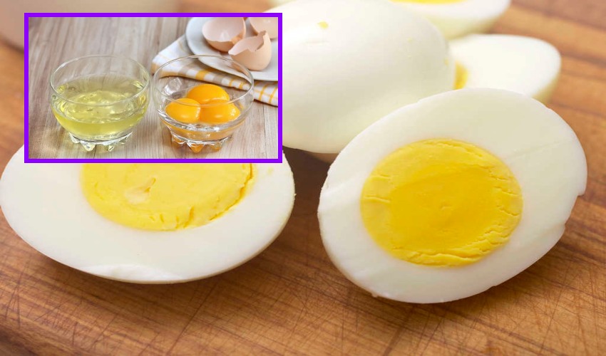 Egg