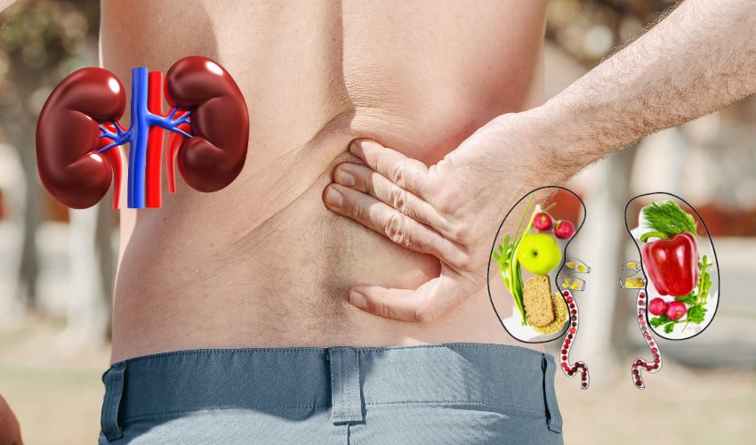 Kidney Disease : కిడ్నీ వ్యాధికి ఆయుర్వేద ఔషదంతో ప్రయోజనం… పరిశోధనల్లో వెల్లడి Kidney Disease : కిడ్నీ వ్యాధికి ఆయుర్వేద ఔషదంతో ప్రయోజనం… పరిశోధనల్లో వెల్లడి