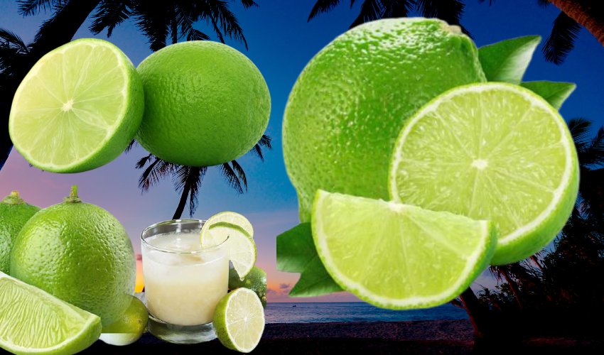 Lime Juice : గ్లాసు బత్తాయి జ్యూస్ తో బోలెడు ప్రయోజనాలు Lime Juice : గ్లాసు బత్తాయి జ్యూస్ తో బోలెడు ప్రయోజనాలు