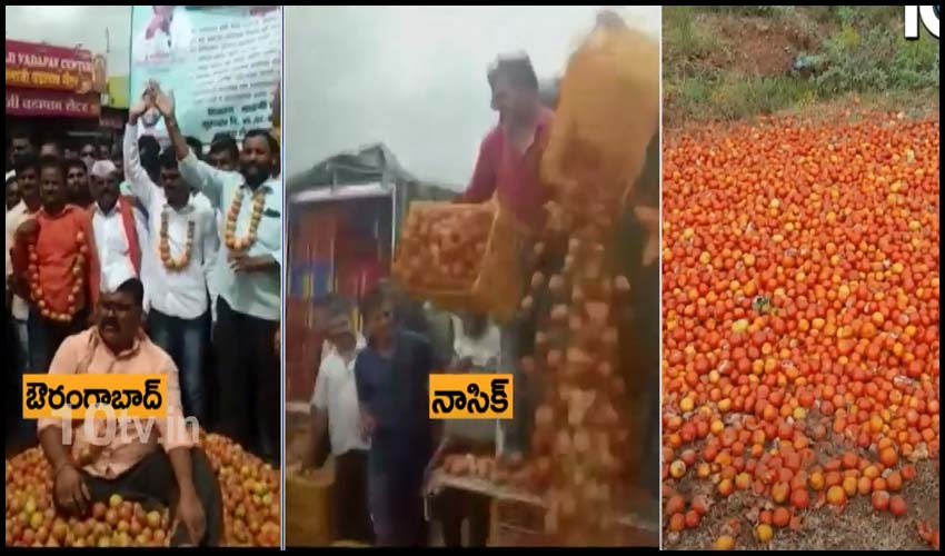 Nashik Farmers Dump Tomatoes On Road