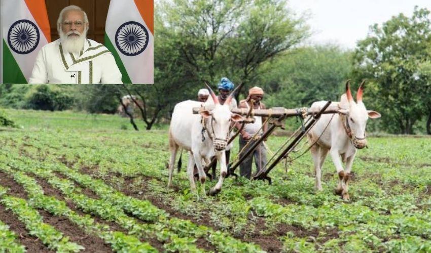 Pm Modi5 (1)