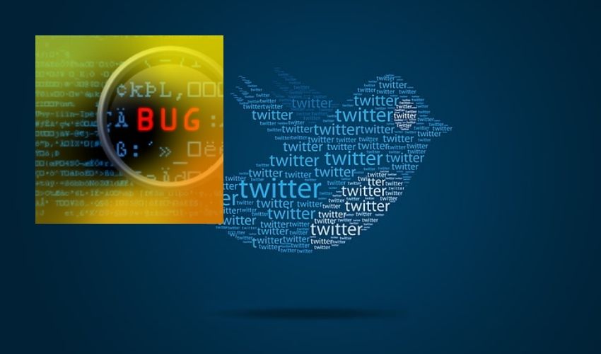 Twitter Bug