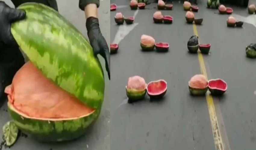 Water Melon