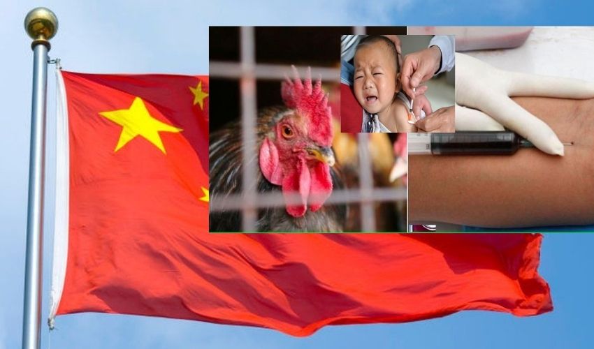 'chicken Blood Injections' In China