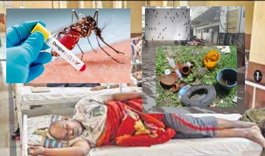 Dengue Cases In Hyderabad