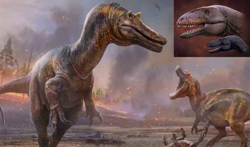 Dinosaur Predators : ఇంగ్లండ్లో రెండు కొత్త జాతుల డైనోసార్ల శిలాజాలు గుర్తింపు Dinosaur Predators : ఇంగ్లండ్లో రెండు కొత్త జాతుల డైనోసార్ల శిలాజాలు గుర్తింపు