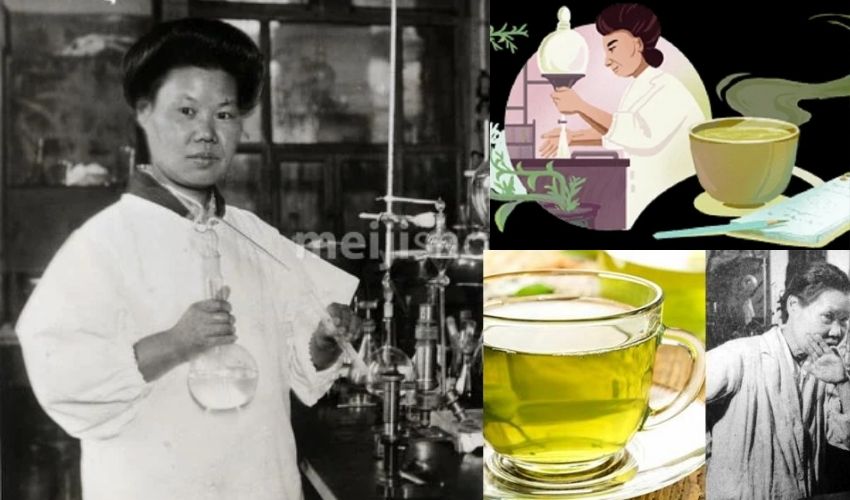 Michiyo Tsujimura Google Doodle