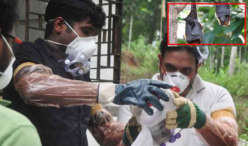 Nipah Virus