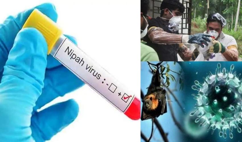 Nipah Virus In Kerala