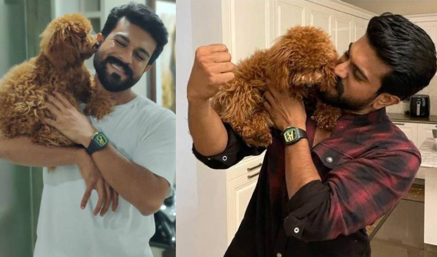 Ram Charan Pets : రామ్ చరణ్‌కి పెట్స్ అంటే ఎంత ప్రేమో..