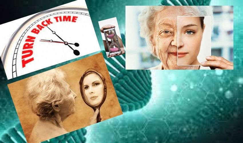 Reverse Aging :వృద్ధాప్యం రాకుండా..అమెజాన్ అధినేత కోట్లు ఖర్చు పెట్టారా? వయస్సు తగ్గించటం సాధ్యమేనా? Reverse Aging :వృద్ధాప్యం రాకుండా..అమెజాన్ అధినేత కోట్లు ఖర్చు పెట్టారా? వయస్సు తగ్గించటం సాధ్యమేనా?