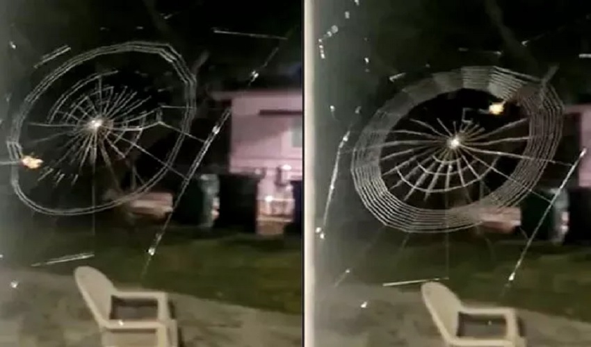 Spider Net : మైండ్ బ్లోయింగ్… సాలీడు గూడు అల్లడం చూశారా..? Spider Net : మైండ్ బ్లోయింగ్… సాలీడు గూడు అల్లడం చూశారా..?