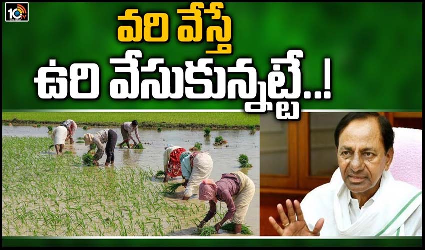 వరి వేస్తే ఉరి వేసుకున్నట్టే..!