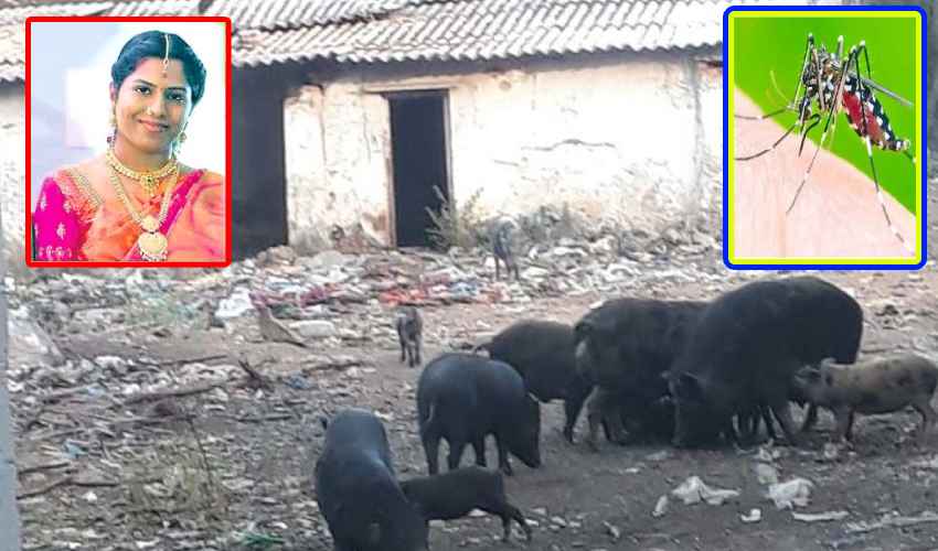 Dengue Fever In GHMC Area : జీహెచ్ఎంసీ నిర్లక్ష్యం – డెంగీ వ్యాధితో మహిళా డాక్టర్ మృతి Dengue Fever In GHMC Area : జీహెచ్ఎంసీ నిర్లక్ష్యం – డెంగీ వ్యాధితో మహిళా డాక్టర్ మృతి