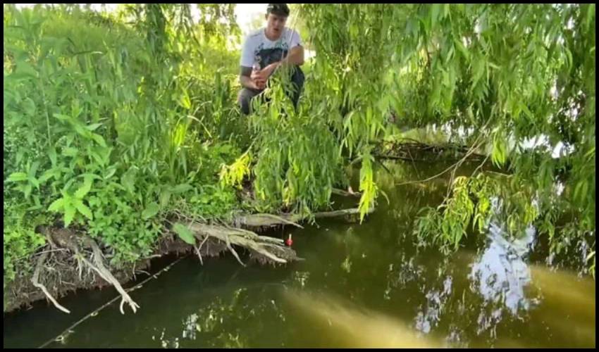 Watch Fisherman Gets Pulled Into A Lake By Huge Fish