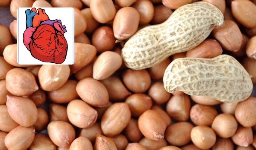 Peanuts