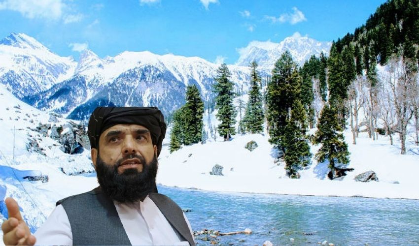 Taliban About Kashmir