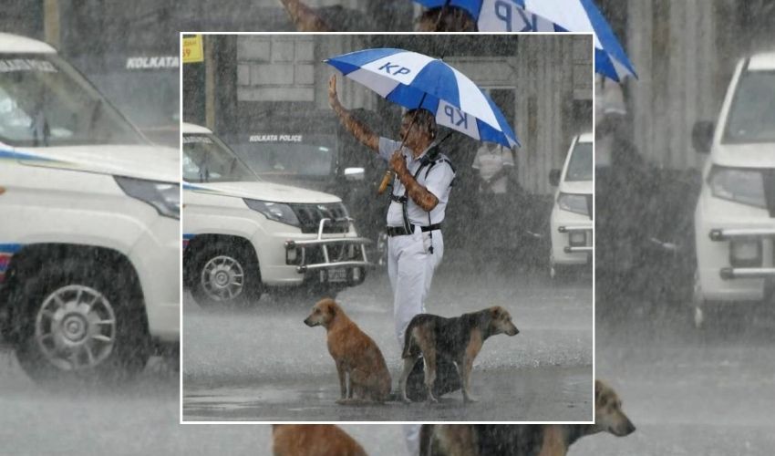 Traffic Cop In Rain