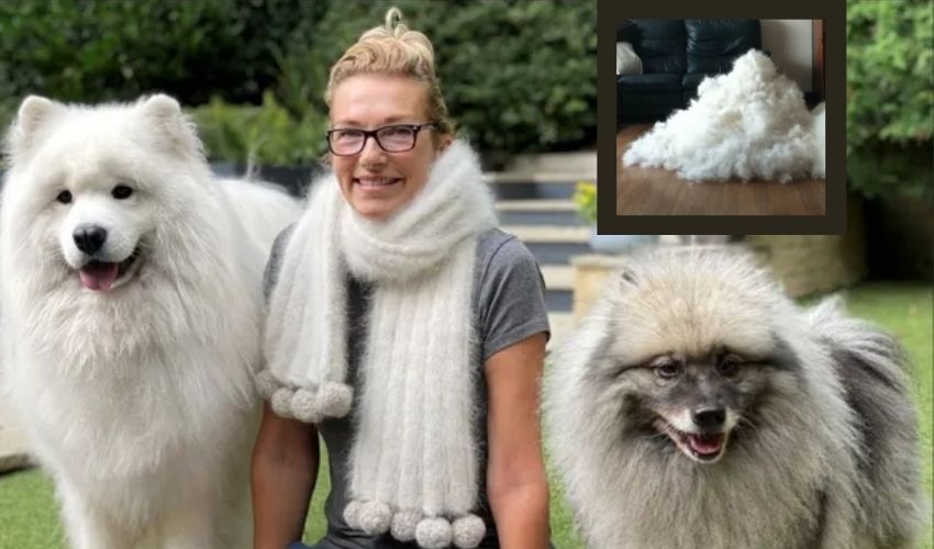 Woman Scarf Made With Dogs Fur