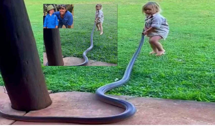 2 Years Child Plays With Snake
