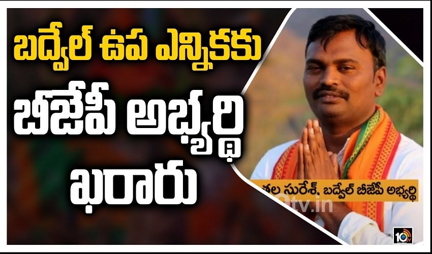 Badvel Bjp 11zon