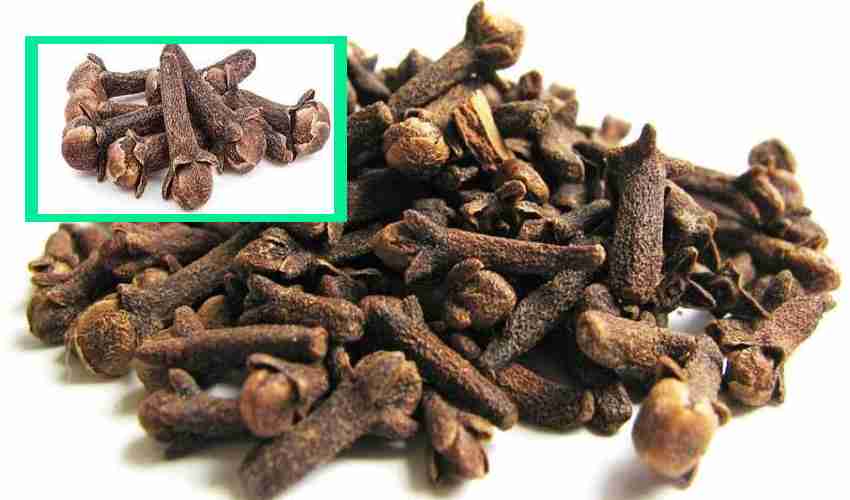 Cloves1