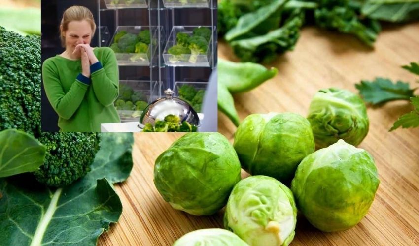 England Women Charlotte Whittle Vegetable Phobia