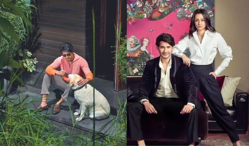 Mahesh Babu: సూపర్ విమెన్తో సూపర్ స్టైలిష్గా మహేష్.. గ్యాలరీ Mahesh Babu: సూపర్ విమెన్తో సూపర్ స్టైలిష్గా మహేష్.. గ్యాలరీ