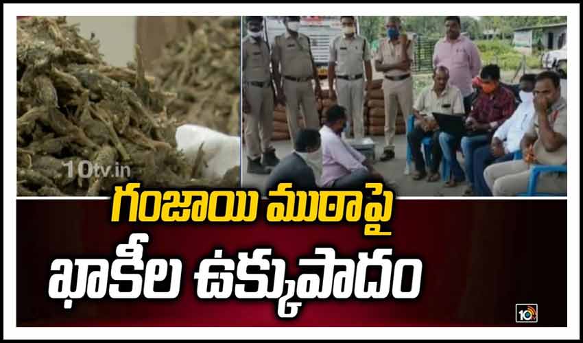 గంజాయి ముఠాపై ఖాకీల ఉక్కుపాదం