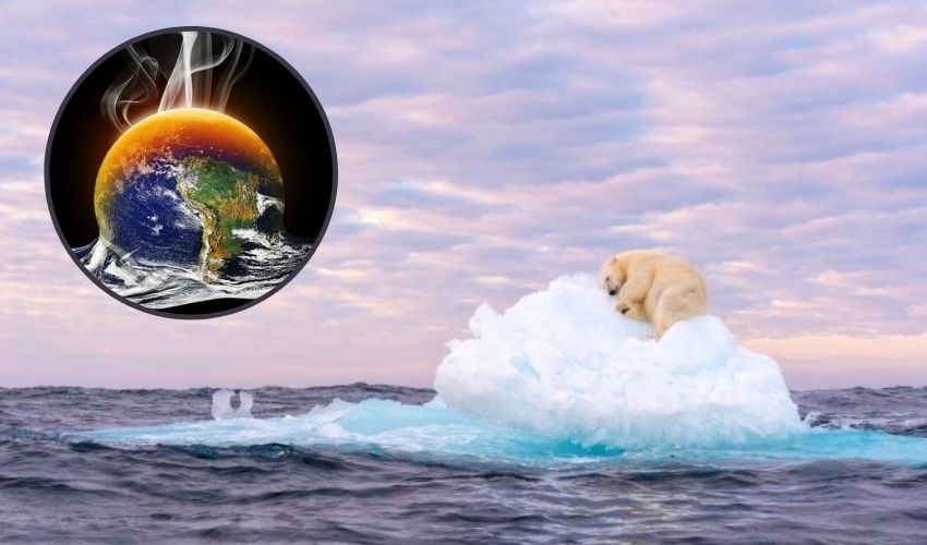 Polar Bear Pic Lazing On Iceberg Climate Change Wins Prize