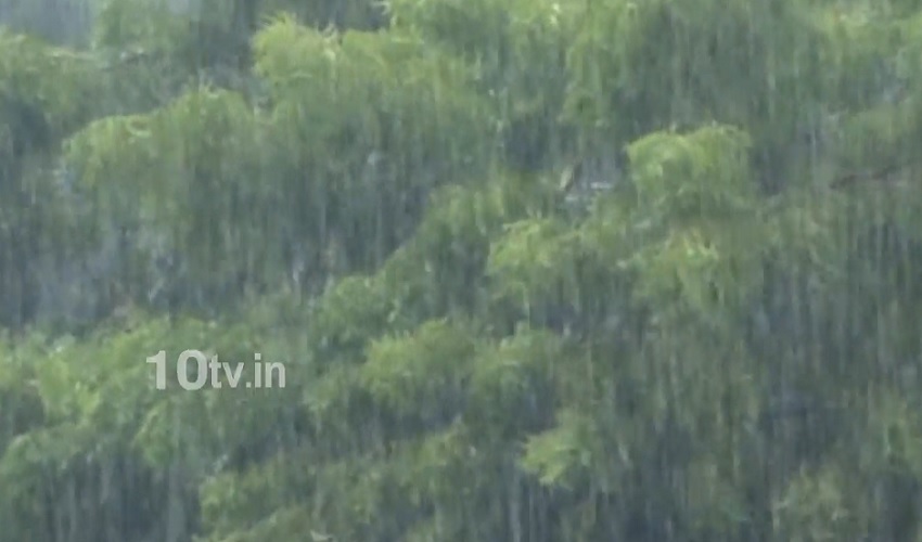 Rains