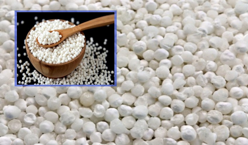 Sago Rice : ఆరోగ్యానికి అమృతం సగ్గు బియ్యం Sago Rice : ఆరోగ్యానికి అమృతం సగ్గు బియ్యం