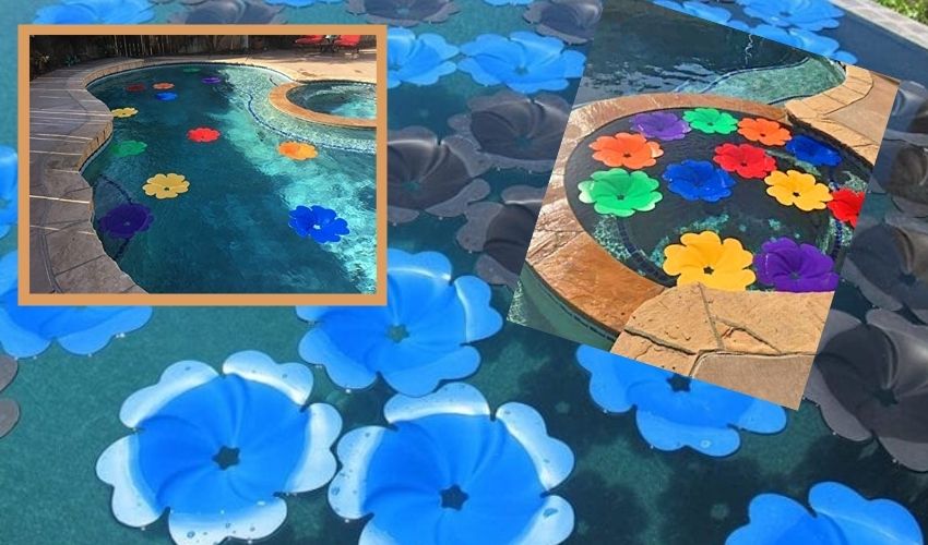 Solar Panel Flowers In Swimming Puls