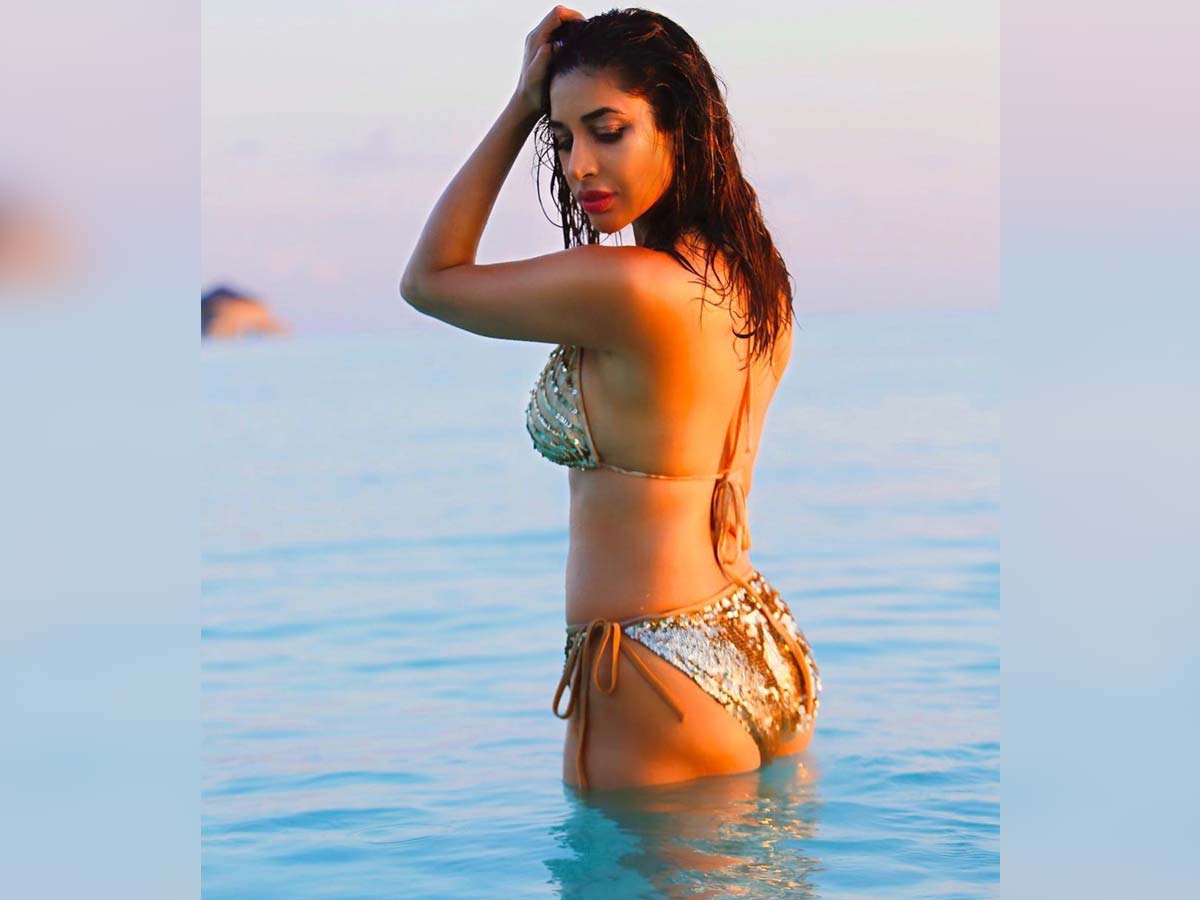 Sophie Choudry6