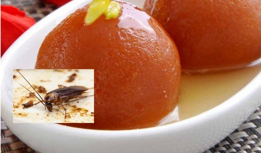To Pay Rs 55000 Fine Cockroach Customer Jamun