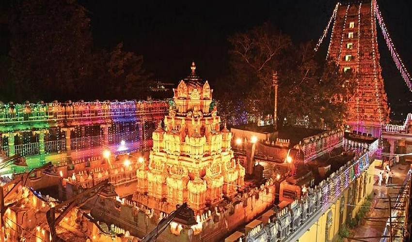Vijayawada 11zon