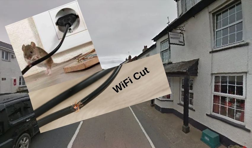 Wifi Cut