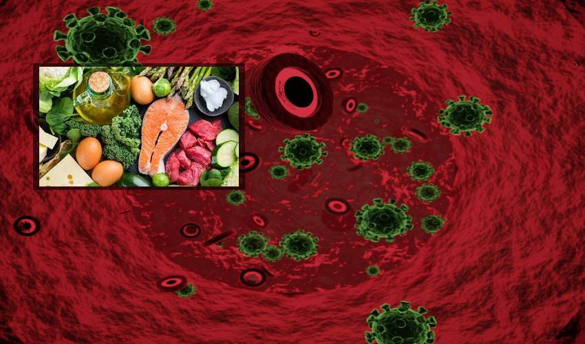 Blood Cells