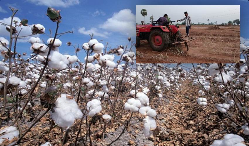 Cotton Hull : రైతుకు అదాయ వనరుగా పత్తికట్టె… Cotton Hull : రైతుకు అదాయ వనరుగా పత్తికట్టె…