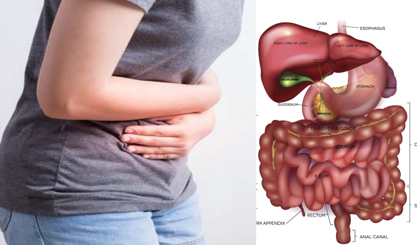Digestive : తిన్న ఆహారం త్వరగా జీర్ణం కావటం లేదా?..అయితే ఇలా ప్రయత్నించి చూడండి… Digestive : తిన్న ఆహారం త్వరగా జీర్ణం కావటం లేదా?..అయితే ఇలా ప్రయత్నించి చూడండి…
