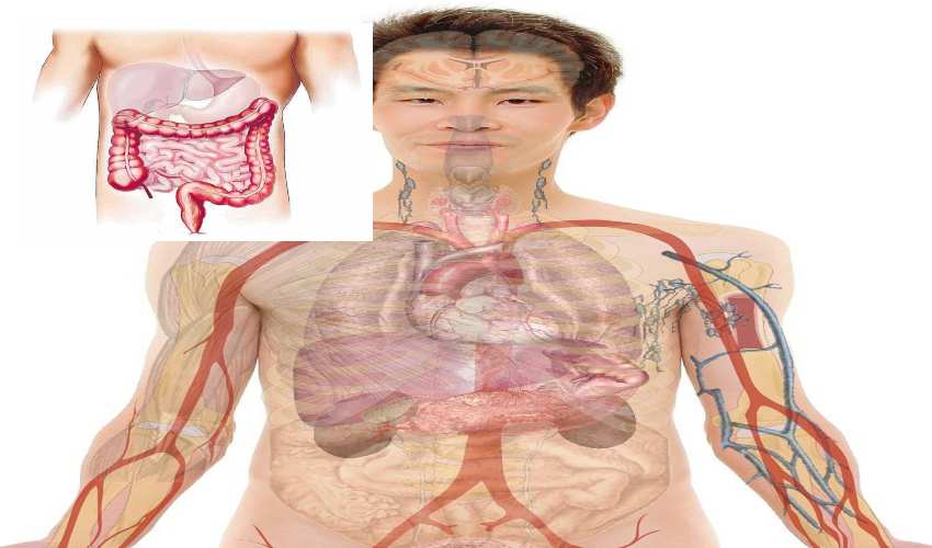 Health Problems : కరోనా నుండి కోలుకున్న వారిలో కొత్త ఆరోగ్యసమస్యలు Health Problems : కరోనా నుండి కోలుకున్న వారిలో కొత్త ఆరోగ్యసమస్యలు