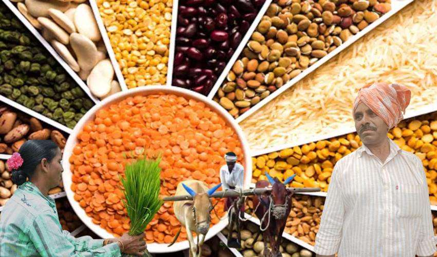 Pulses