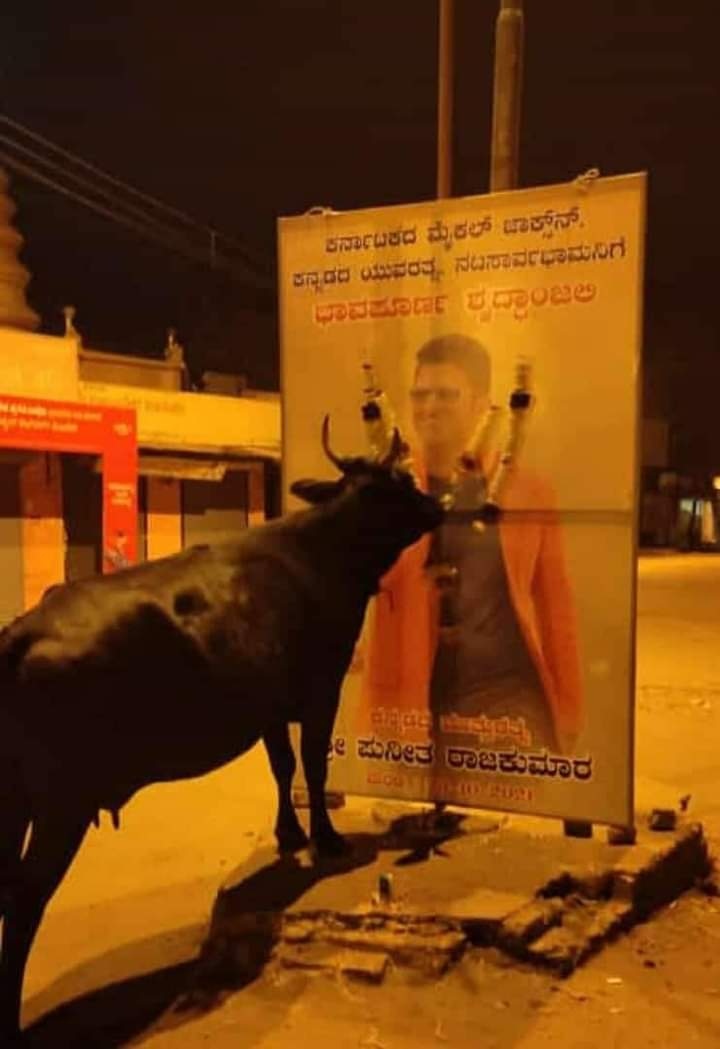 Puneeth16