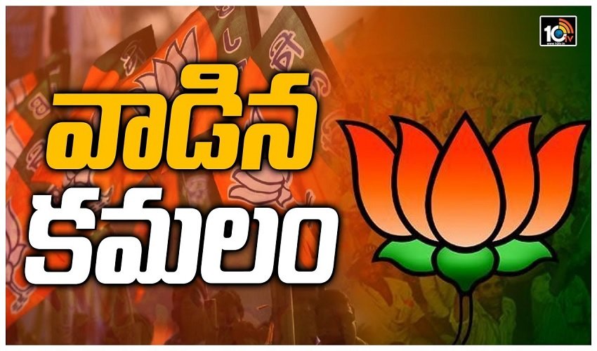 Bjp Fadeout