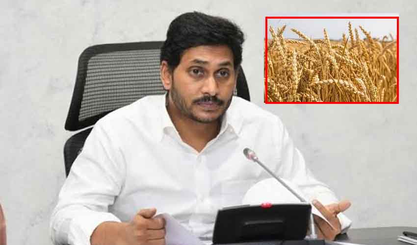 Cm Jagan