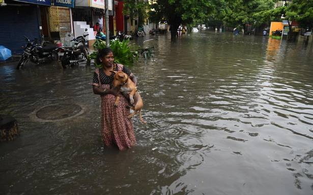 Chennai Floods (16)