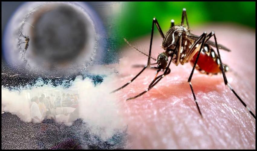 Dengue Outbreak Centre Sends Central Teams To 9 States, Union Territories